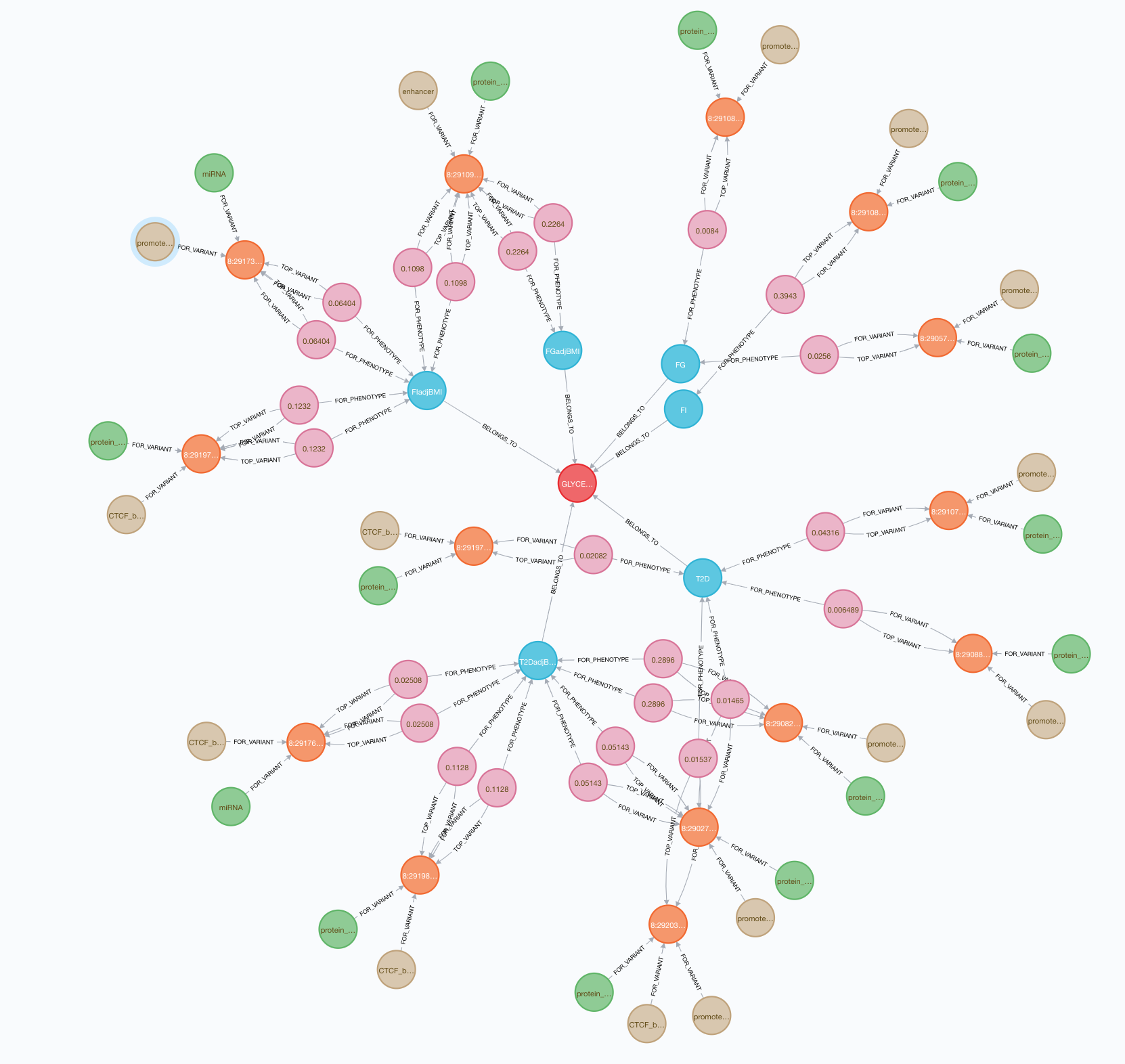 Neo4j graph